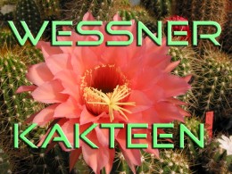  Jahresausflug 2004 Kakteen Wessner in Muggensturm
