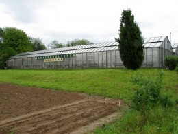  Jahresausflug 2006 Hinfahrt zu Andreae