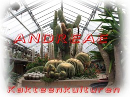  Andreae Kakteenkulturen