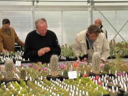  Jahresausflug 2007 Besuch von Kakteen Kiessling