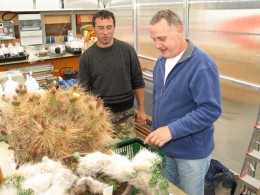  Jahresausflug 2007 Besuch von Kakteen Kiessling