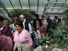  Jahresausflug 2007 Botanischer Garten Muenchen Sukkulentenhaus