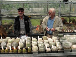  Jahresausflug 2007 Botanischer Garten Muenchen Besichtigung der Kakteensammlung