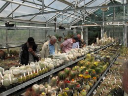  Jahresausflug 2007 Botanischer Garten Muenchen Besichtigung der Kakteensammlung