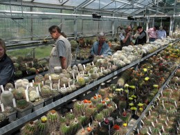  Jahresausflug 2007 Botanischer Garten Muenchen Besichtigung der Kakteensammlung