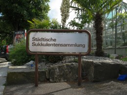  Jahresausflug 2009 Besuch der Sukkulenten Sammlung Zuerich