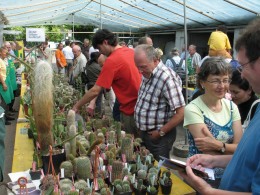  Jahresausflug 2009 Besuch der Sukkulenten Sammlung Zuerich