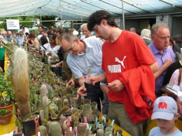  Jahresausflug 2009 Besuch der Sukkulenten Sammlung Zuerich