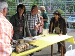  Jahresausflug 2009 Besuch der Sukkulenten Sammlung Zuerich