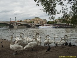  DKG-Jahresausflug Prag 2014 Prager Impressionen Blick aufs Rudolfinum