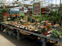  Ausstellung Gaertnerei Buehler Legelshurst 2008