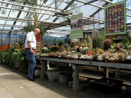  Ausstellung Gaertnerei Buehler Legelshurst 2008