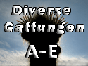 Diverse Gattungen A-E_thumb