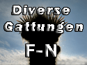 Diverse Gattungen F-N_thumb