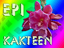 Epicactus_Titel_thumb