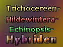 Hybriden_thumb