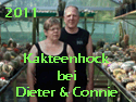 Kakteenhock_Meier_02_thumb